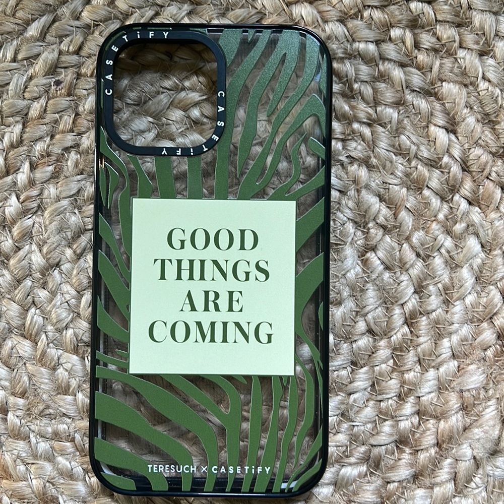 Casetify Iphone 13 pro max case